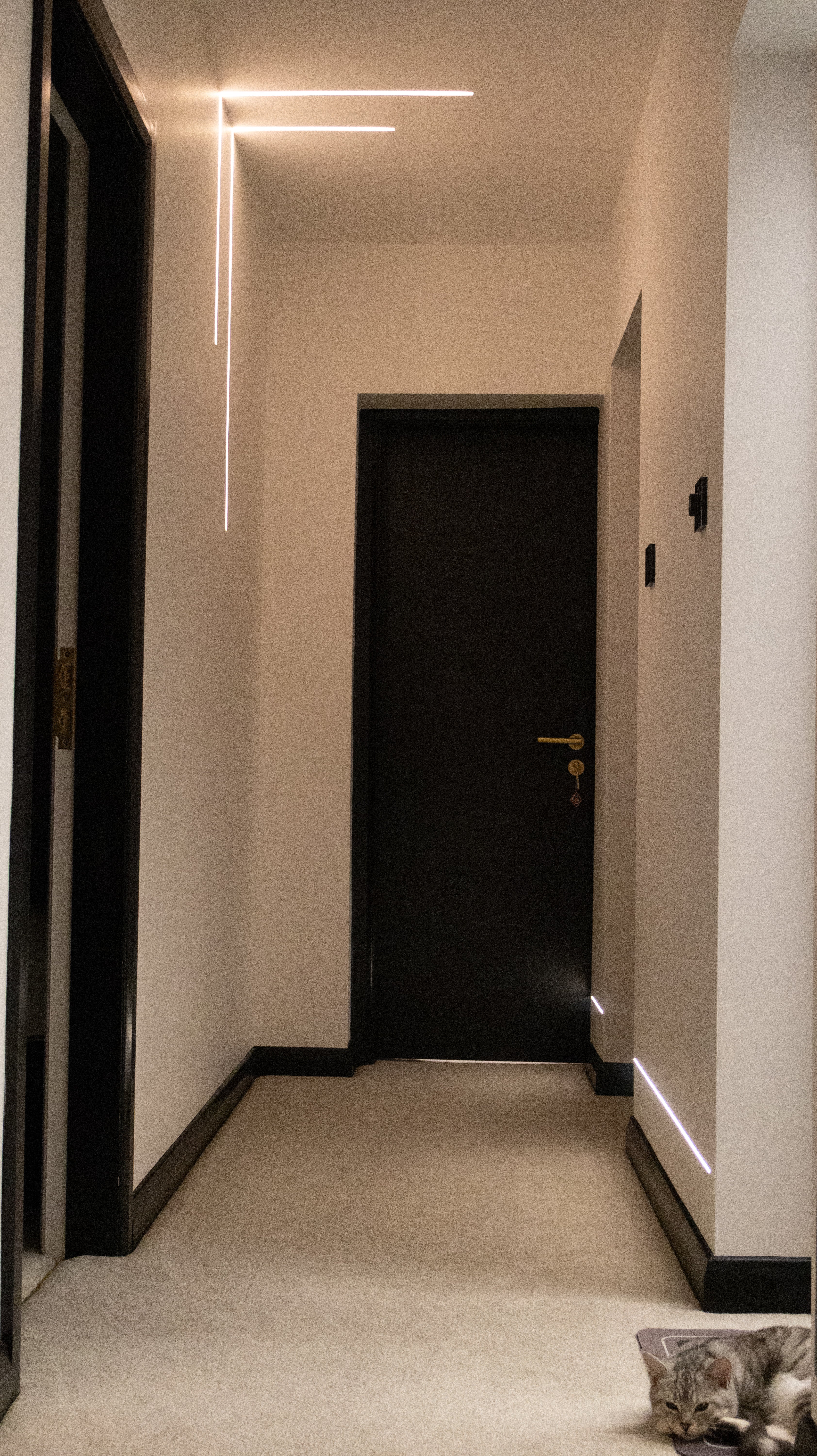 Modern hallway with a closed black door and minimal lighting fixtures.