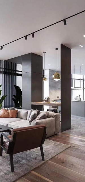 A house showcasing magnetic track